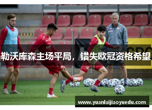 勒沃库森主场平局，错失欧冠资格希望
