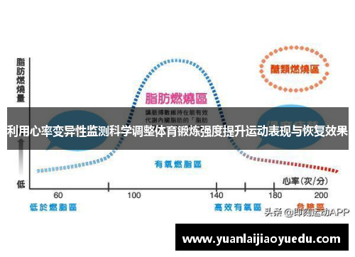利用心率变异性监测科学调整体育锻炼强度提升运动表现与恢复效果