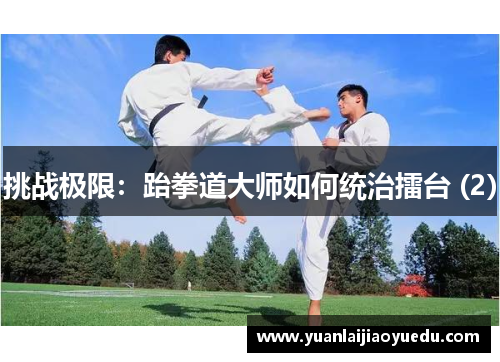 挑战极限：跆拳道大师如何统治擂台 (2)
