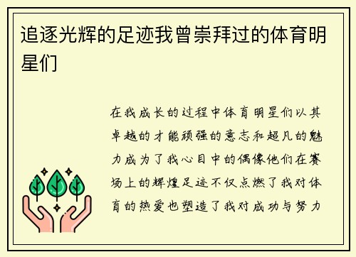追逐光辉的足迹我曾崇拜过的体育明星们